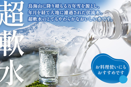 《定期便6ヶ月》鳥海山自然水(500ml)30本×6か月連続 計180本