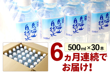 《定期便6ヶ月》鳥海山自然水(500ml)30本×6か月連続 計180本