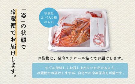 【《年内配送延長》11/30までの寄附で年内配送予定】日本海沖産 紅ズワイガニ600g前後×2匹 約1.2kg/冷蔵【安田水産】