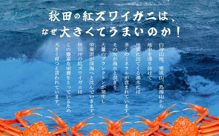 日本海沖産 紅ズワイガニ600g前後×2匹 約1.2kg/冷凍【安田水産】