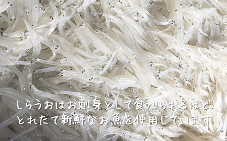 【期間限定】【秋田名産】うたせ舟 しらうおくるみ煮 （200g × 4パック）【佐藤徳太郎商店】