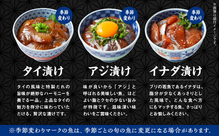 海鮮漬け丼セット 5種×2袋 60g×10袋 計600g 食べ比べ 訳アリ 訳あり 簡易包装 冷凍 海鮮丼 海鮮 マグロ サーモン タイ アジ イナダ 季節 魚 漬け 丼 魚介 簡単調理 お手軽 小分け パック 個包装 おすすめ 送料無料 【西村魚屋】