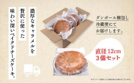 キャラメルベイクドチーズケーキ 3個セット【飯田川つくし苑】
