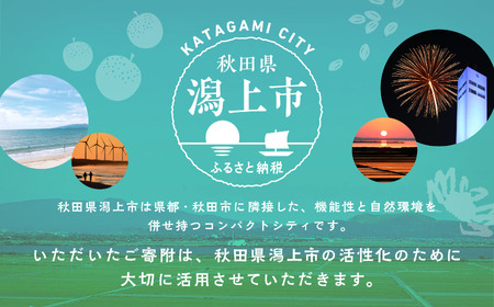 応援寄附金（返礼品なし）5,000円
