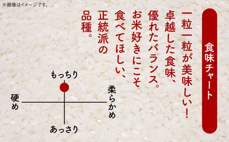 【令和5年産】サキホコレ（精米）10㎏（5kg×2）【鐙惣米穀店】