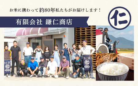 令和7年産 秋田県産 あきたこまち 10kg 新米 精米【鎌仁商店】