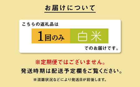《先行予約》米 令和8年産 あきたこまち 20kg 白米