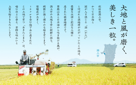 無洗米 新米 令和7年産 秋田県産あきたこまち 25kg
