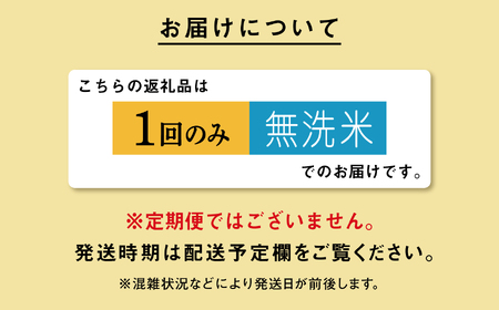 無洗米 新米 令和7年産 秋田県産あきたこまち 30kg