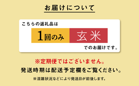 《先行予約》 玄米 令和8年産 あきたこまち 15kg 玄米