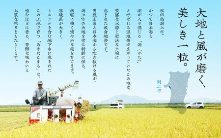【3ヶ月定期便】玄米 新米 令和7年産 秋田県産あきたこまち 5kg