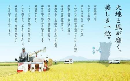 無洗米 令和7年産 あきたこまち ﾍﾟｯﾄﾎﾞﾄﾙ入 1.8kg