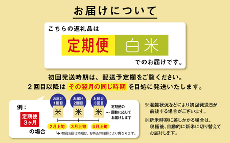 【9ヶ月定期便 年内発送】米 新米 令和7年産 秋田県産あきたこまち 10kg