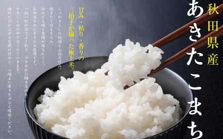 《先行予約》【6ヶ月定期便】無洗米 令和8年産 あきたこまち 5kg 無洗