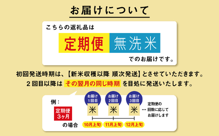《先行予約》【12ヶ月定期便】無洗米 令和8年産 あきたこまち 15kg 無洗