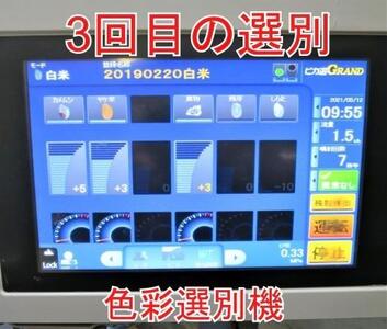 定期便×12回】10kg 大手有名百貨店出荷米 あきたこまち 令和5年産米