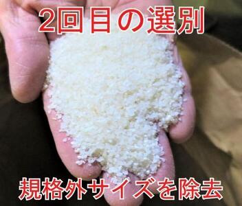 定期便×9回】25kg 大手有名百貨店出荷米 あきたこまち 令和5年産米