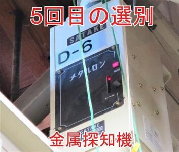 5kg（5kg×1）大手有名百貨店出荷米 あきたこまち 令和5年産米