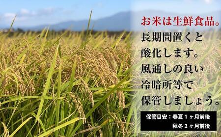 秋田県産おばこの匠あきたこまち 15kg （5kg×3袋）玄米【令和5年産