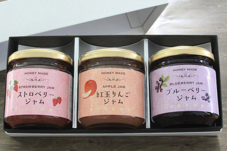 ハニーメイド フルーツジャム 3点セット（ギフト箱入り）×3セット ストロベリー 紅玉りんご ブルーベリー ローズメイ