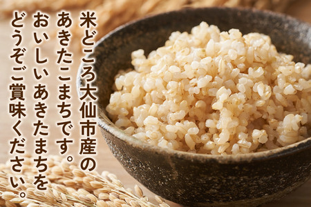 玄米】令和7年産 新米先行受付 秋田県産あきたこまち 30kg お米