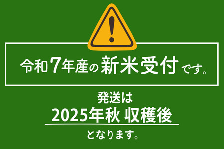 ＜令和7年産 新米受付＞《定期便2ヶ月》米【白米】秋田県大仙市産 あきたこまち 精米 5kg 令和7年産