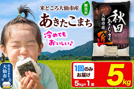 米【無洗米】秋田県大仙市産 あきたこまち 精米 5kg 令和7年産
