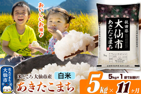 米《定期便11ヶ月》あきたこまち【白米】 米どころ秋田県大仙市産 令和7年産 精米 5kg（5kg×1袋）