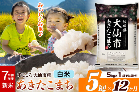 新米 令和7年産《定期便12ヶ月》米【白米】米どころ秋田県大仙市産 あきたこまち 精米5kg(5kg×1袋)