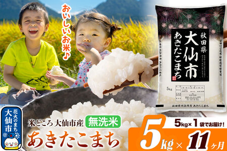 米《定期便11ヶ月》あきたこまち【無洗米】米どころ秋田県大仙市産 あきたこまち5kg（5kg×1袋）