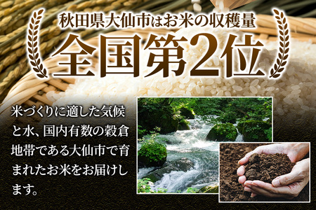 米 米どころ 秋田県大仙市産 ブレンド米 令和7年産【白米】5kg（5kg×1袋）