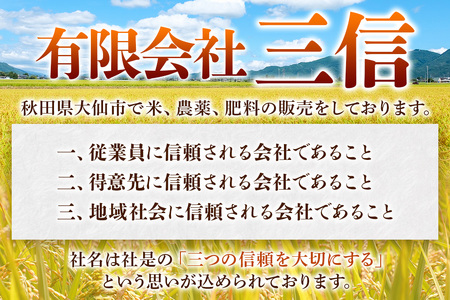 米 米どころ 秋田県大仙市産 ブレンド米 令和7年産【無洗米】5kg（5kg×1袋）