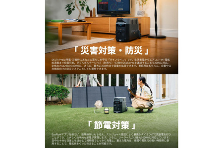 EcoFlow ポータブル電源（容量3,600Wh）DELTA Pro エコフロー デルタプロ