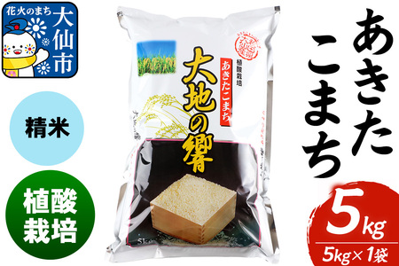 米 植酸栽培 あきたこまち「大地の響」5kg（5kg×1袋）【精米】令和7年産 【秋山商店】