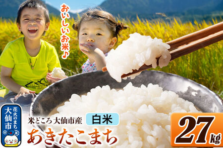 米 あきたこまち【白米】令和7年産 米どころ秋田県大仙市産 27kg（27kg×1袋）