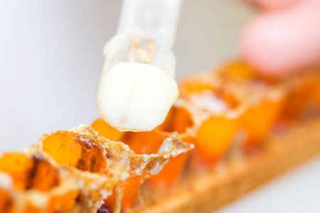 調整ローヤルゼリーR370 ローズメイ