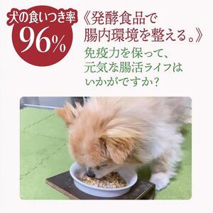 犬猫用　まぜまぜ納豆パウダー　レギュラーサイズ45g×4個