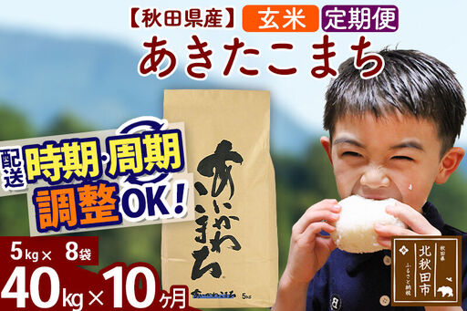 ※令和7年産※《定期便10ヶ月》秋田県産 あきたこまち 40kg【玄米】(5kg小分け袋) 2025年産 お届け時期選べる お届け周期調整可能 隔月に調整OK お米 藤岡農産