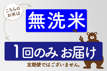 新米＞秋田県産 あきたこまち 10kg【無洗米】(5kg小分け袋) 【1回のみ