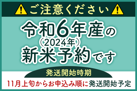 定期便12ヶ月》＜新米＞秋田県産 あきたこまち 4kg【無洗米】(2kg