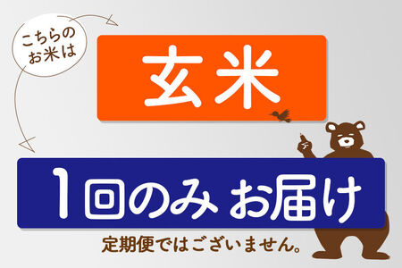 ※R8産 新米予約※ 秋田県産 あきたこまち 5kg【玄米】(5kg小分け袋)【1回のみお届け】2026年産 令和8年産 お米 藤岡農産