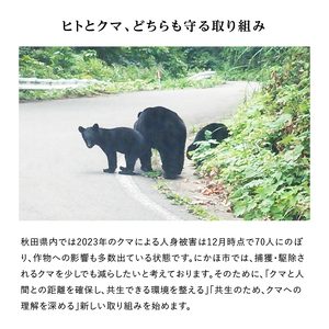 《クマといい距離プロジェクト》共生活動企画 あきたこまち 5kg(約33合分)  精米 白米  (動物 愛護)