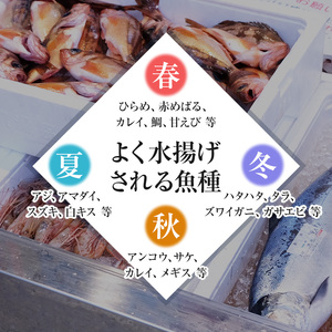 開けたらすぐ食べられる日本海の鮮魚詰合せ（4～5人前）(魚介 下処理済み 詰め合わせ セット)