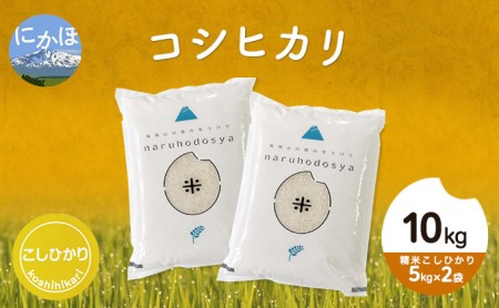 令和3年 秋田県産コシヒカリ10kg 5kg 2袋 精米 こしひかり 秋田県にかほ市 ふるさと納税サイト ふるなび