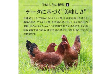 秋田県産比内地鶏肉 焼き鳥の定期便(30本×3ヶ月)(焼鳥 3ヶ月 もも肉 むね肉)