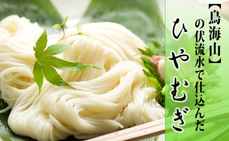 ひやむぎ5束（10人前）の定期便（6ヵ月連続） 麺類 冷麦