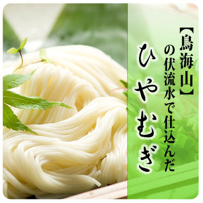 ひやむぎ5束（10人前）の定期便（9ヵ月連続） 麺類 冷麦