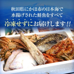 発送メールのみ 日本海の鮮魚詰め合わせ（2～3人前 下処理済み 切り身 魚介 セット）