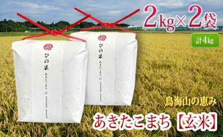 米 お米 秋田県産 あきたこまち 玄米 4kg（2kg×2袋）神宿る里の米「ひの米」（お米 小分け）