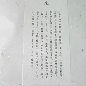《定期便》4kg×12ヶ月 秋田県産 あきたこまち 精米 2kg×2袋 神宿る里の米「ひの米」（お米 小分け 1年）